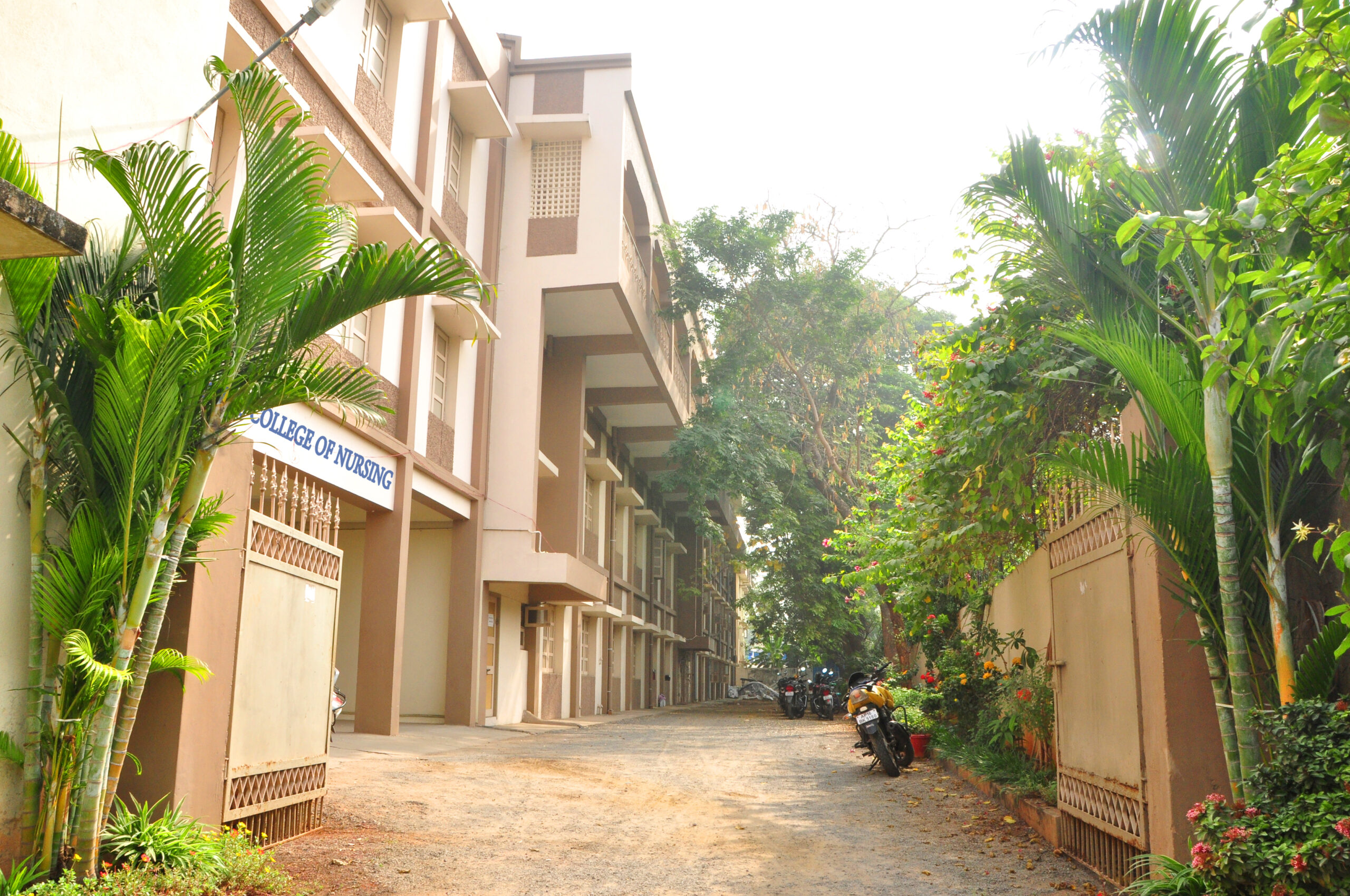 College of Nursing